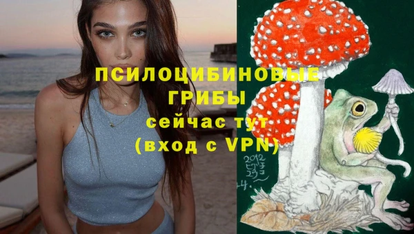 ALPHA-PVP Инсар